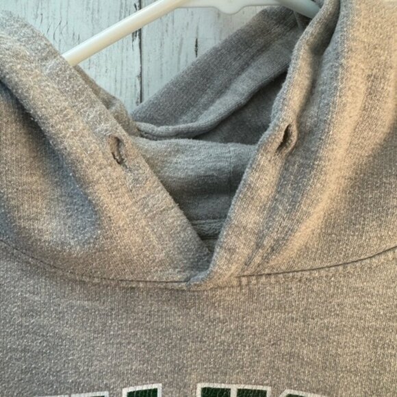 Junk Food Clothing Gray Hoodie size large - Picture 7 of 9